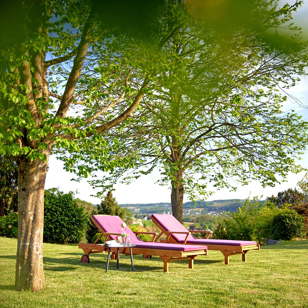 Holistic Ayurveda Solutions Ayurveda Resort Mandira marketing deluxe