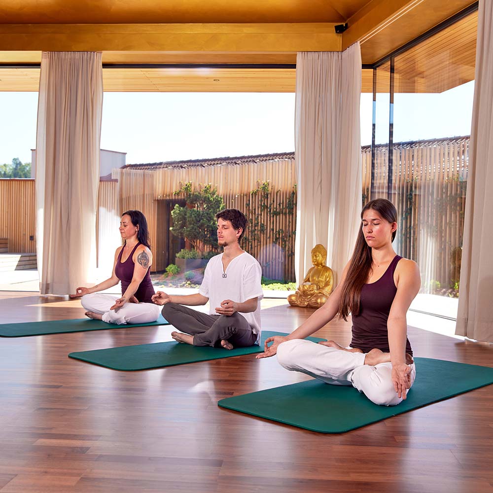 Holistic Ayurveda Panchakarma Kur - Vata reduzieren - Resilienz und Immunystem stärken - gesund durch die kalte Jahreszeit - Meditation