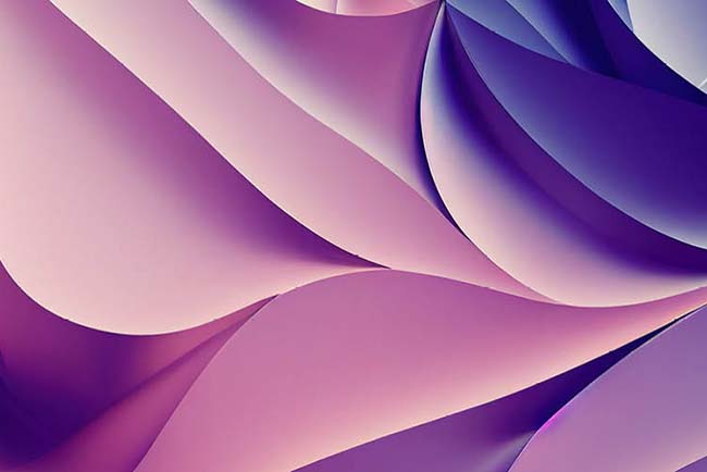 Organic Shapes and a Nature-Inspired Aesthetic Organic Shapes and a Nature-Inspired Aesthetic